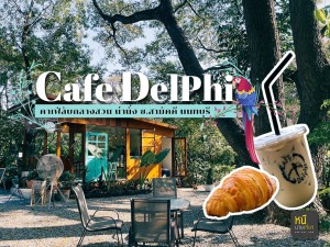 Cafe Delphi คาเฟ่กลางสวน น่านั่ง ซ.สามัคคี นนทบุรี